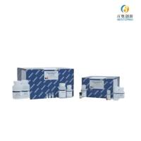 凯杰QuantiNova反转录试剂盒205411