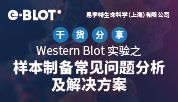 干货 | Western Blot 实验之样本制备常见问题分析及解决方案