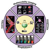 磁性纳米颗粒包裹双特异性抗体BisFV