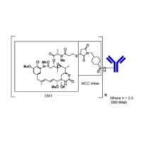Trastuzumab emtansine   1018448-65-1  ADC (抗体偶联药物）靶向HER2受体释放细胞毒性药物DM1