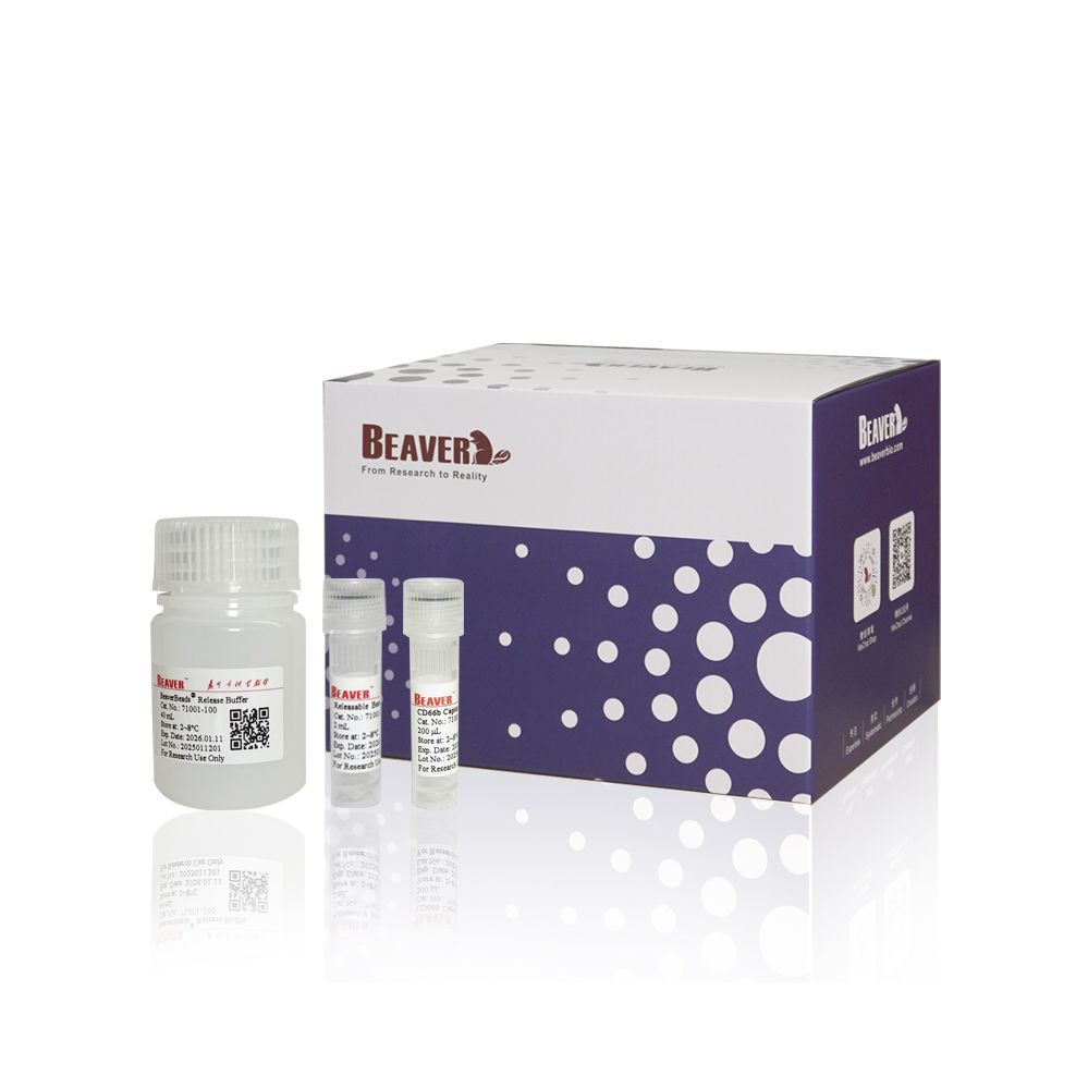 BeaverBeads® 人CD66b+细胞分选试剂盒(阳选)