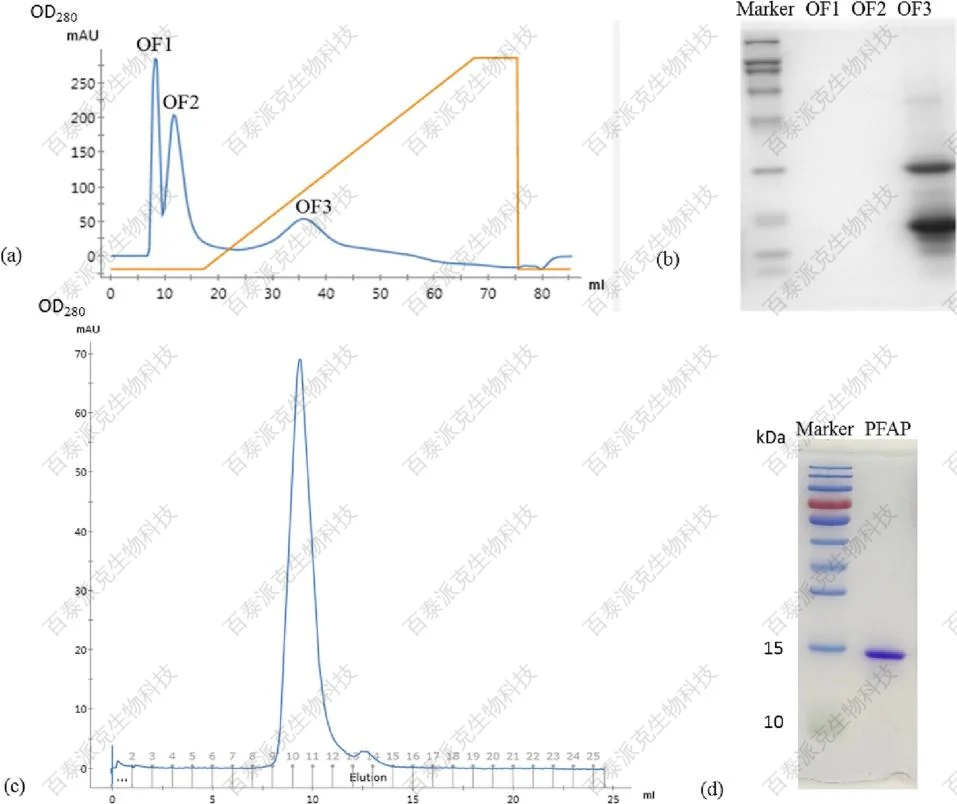 protein-sequence-analysis-gx1-5