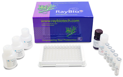 RayBiotech人细胞凋亡阵列G1新品尝鲜，超值优惠等你来！