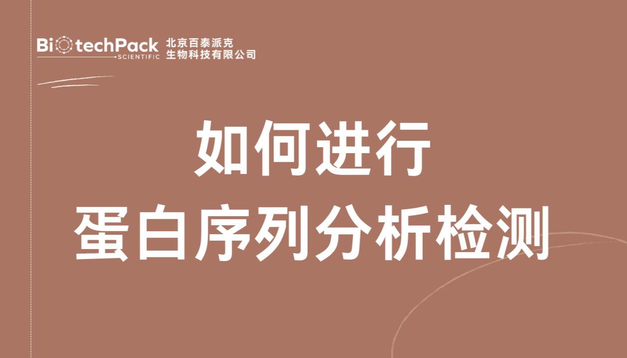 如何进行蛋白序列分析检测？