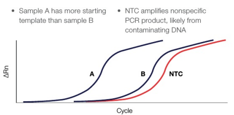 精品推荐 | 低残留、高性能分子诊断酶组合赋能RT-qPCR全预混体系开发！