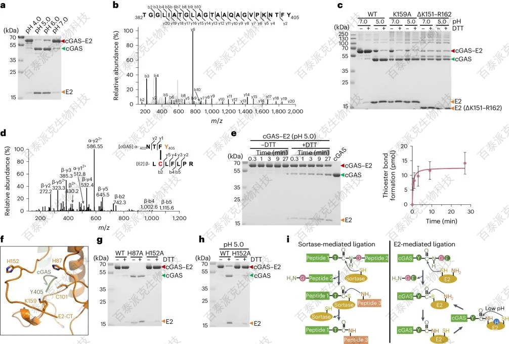 protein-sequence-analysis-gx1-3