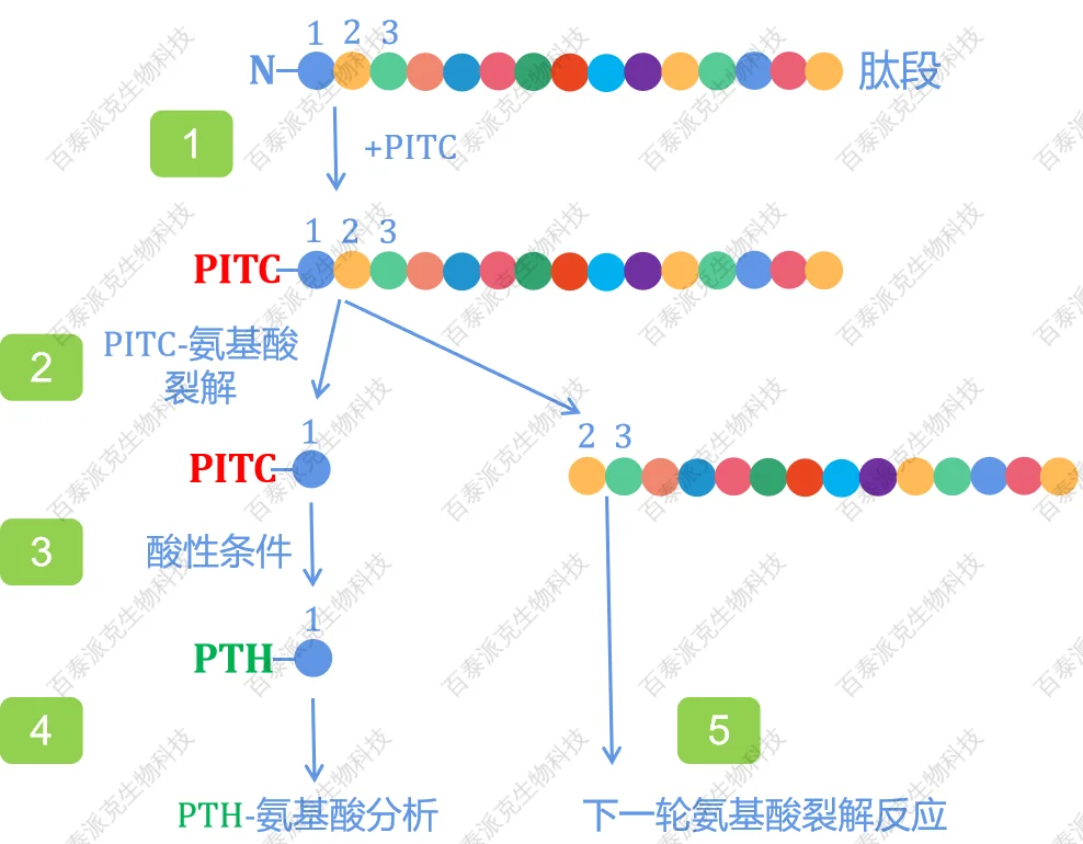 protein-sequence-analysis-gx1-1