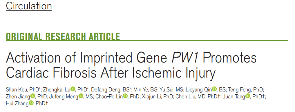 Circulation | 南模生物助力揭示心梗后心脏纤维化新机制