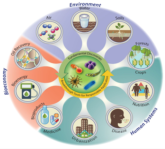 微生物领域再上新！华大智造推出微生物组靶向宏条形码测序组合产品