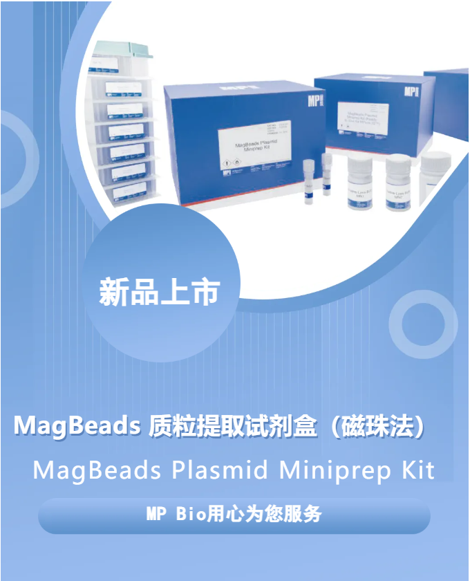 新品上市 | MagBeads 质粒提取试剂盒（磁珠法）已上市！