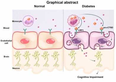 技术资料图片13