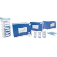 （MPure-32™）MagBeads质粒提取试剂盒(磁珠法）
