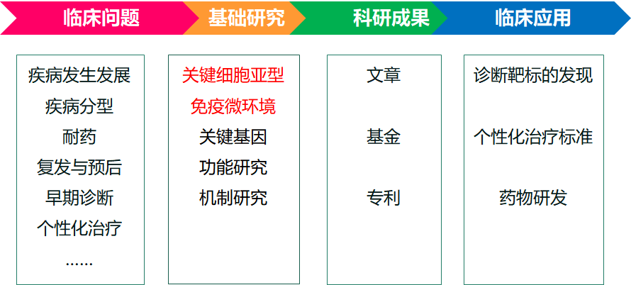 国自然申请书中的科学假设