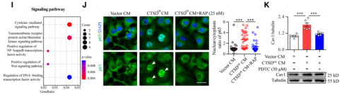 技术资料图片10