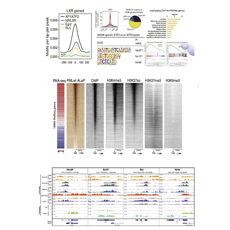 CHIP-Seq