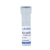 萤火虫荧光素酶