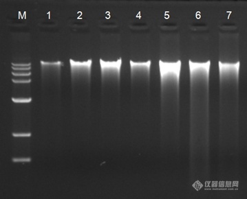 产品细节图片1