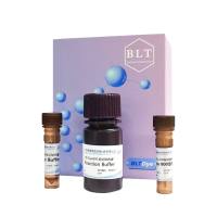 BLTDye 800标记试剂盒