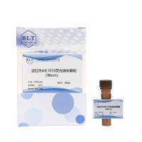 近红外 AIE1010 荧光纳米颗粒