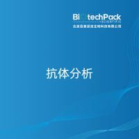 抗体分析-北京百泰派克生物科技