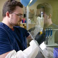 分泌型免疫球蛋白A,人初乳(分泌型IgA)