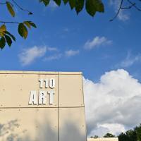 人血浆玻连蛋白