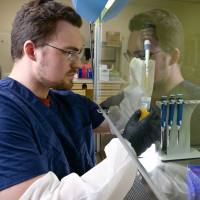 人中性粒细胞混合α-防御素（HNP，人中性粒细胞肽）