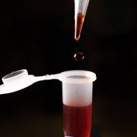 C1 酯酶抑制剂，人血浆