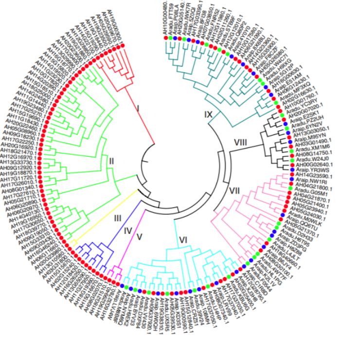 小基因组/病毒基因组测序