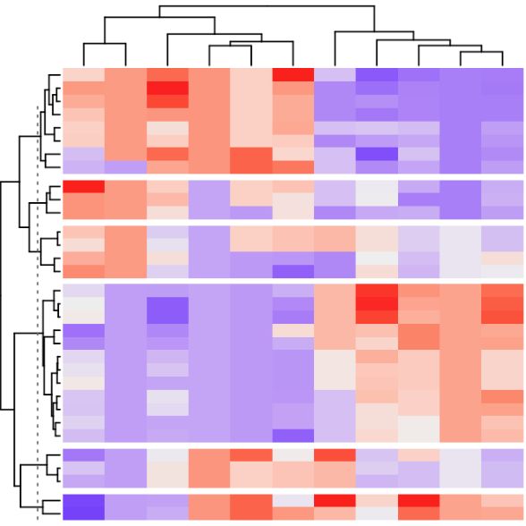 原核有参转录组测序