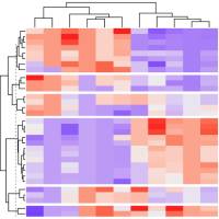 原核有参转录组测序