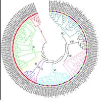 微生物基因组重测序