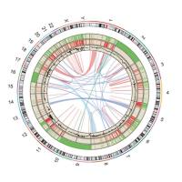 人基因组重测序