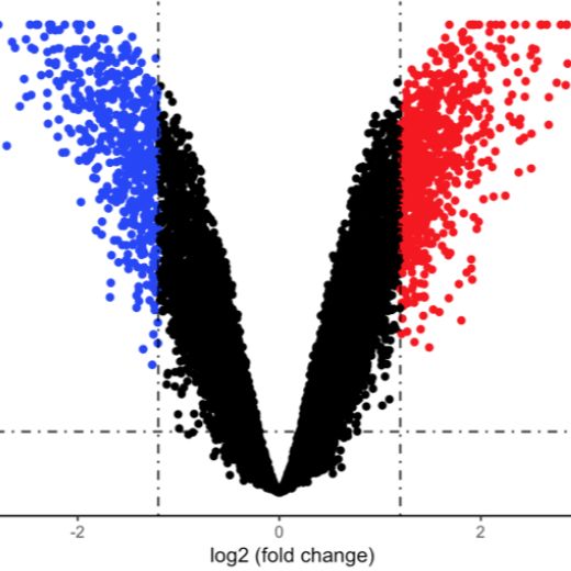 真核有参转录组测序