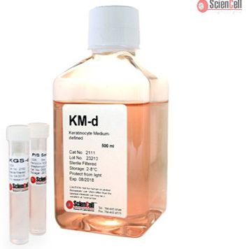 角质细胞培养基-无血清
