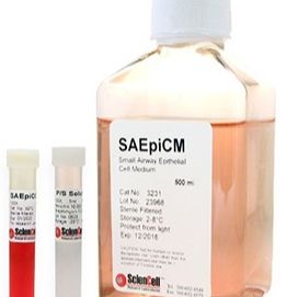 小气管上皮细胞培养基