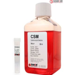 心肌细胞选择性培养基