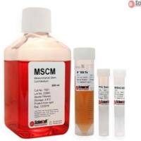 间充质干细胞培养基