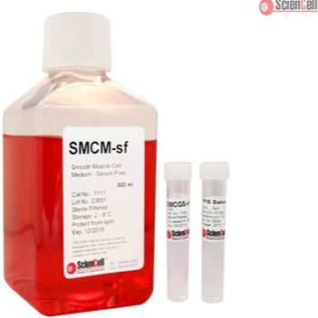 平滑肌细胞培养基-无血清