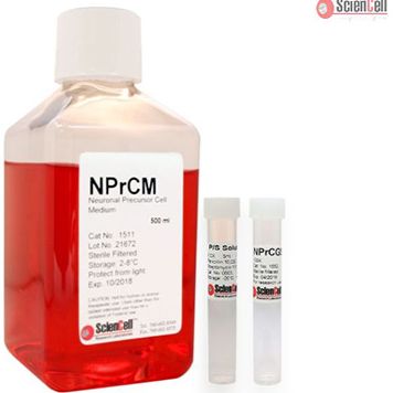 神经前体细胞培养基