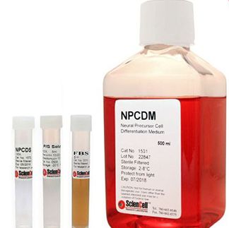 神经前体细胞分化培养基