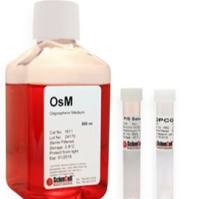 球状少突细胞培养基