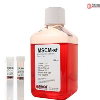 间充质干细胞培养基-无血清