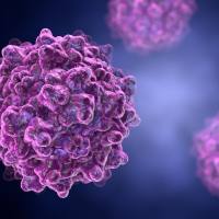 丁香通平台测试产品