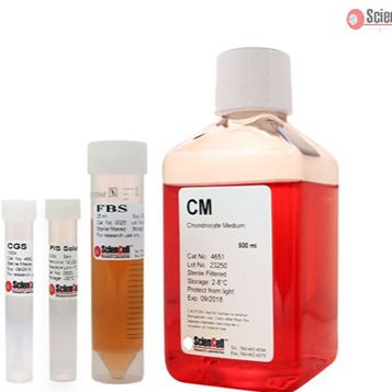 软骨细胞培养基