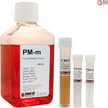 周细胞培养基-小鼠