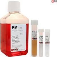 周细胞培养基-小鼠