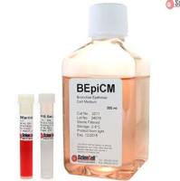 支气管上皮细胞培养基