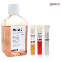 黑色素细胞培养基（不含PMA） (MelM-2) 