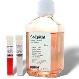 结肠上皮细胞培养基